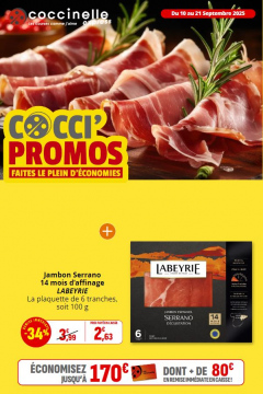 Coccinelle