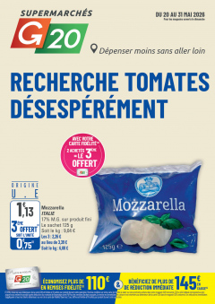 G20