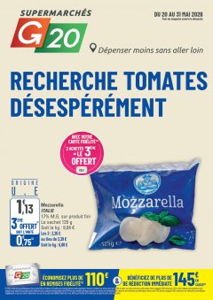 G20
