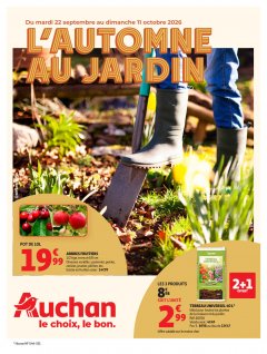 Auchan